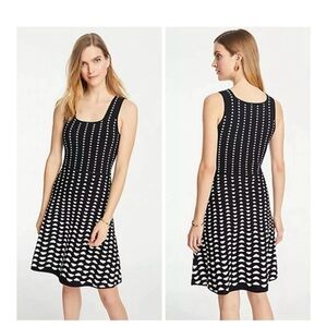 Ann Taylor Half Moon Jacquard Sweater Flare Dress -  Large Petite